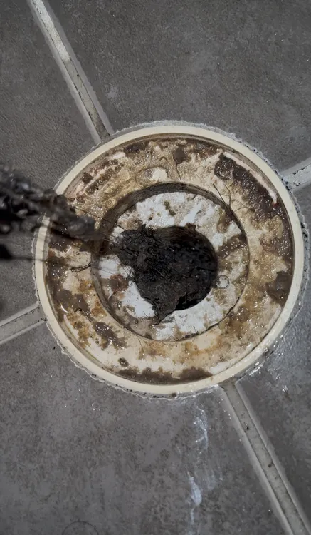 blocked shower drain at a brisbane property