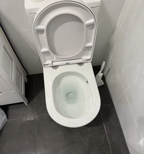 blocked toilet in brisbane bathroom