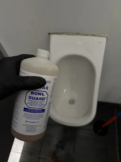 commercial plumbing on a toilet