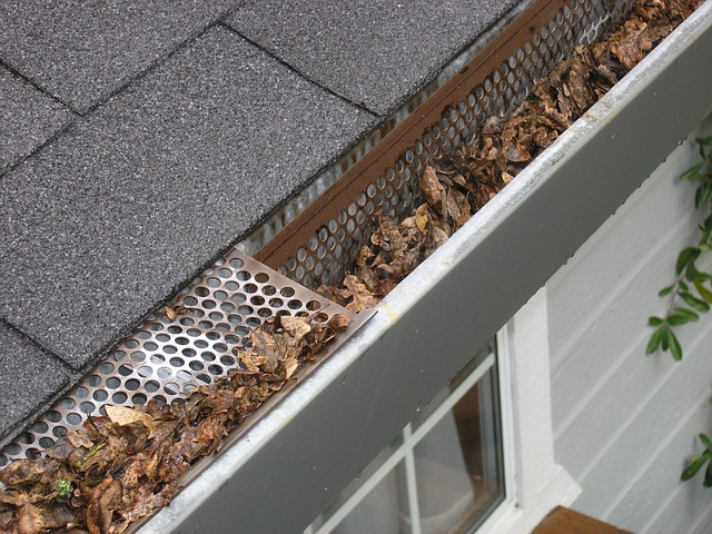 broken gutter needing repair in brisbane